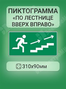 пиктограмма "ПО ЛЕСТНИЦЕ ВВЕРХ ВПРАВО" 310х90мм для аварийно-эвакуационного светильника Basic IP65 V5-EM02-60.002.039 VARTON VARTON