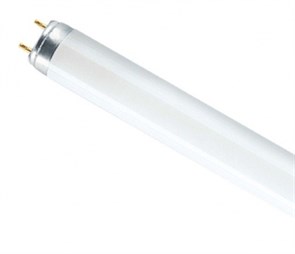 Лампа люм. L 18W/765 d=26mm G13 L=600mm 6500К дневной (Смоленск) 4008321959669 Osram Osram