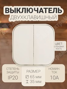 Выключатель 2 клавишный слоновая кость Quteo 782232 Legrand Legrand