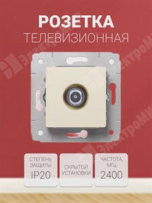 Розетка телевизионная одиночная TV слоновая кость Cariva 773778 Legrand Legrand XRS773778