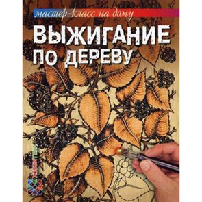 Книга А сер. "Мастер-класс на дому" Выжигание по дереву (978-5-462-01460-4) XG19151941422