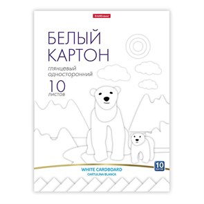 Картон белый 10л А4 глянцевый на клею ErichKrause 58493 1991401