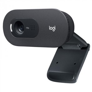 {{productViewItem.photos[photoViewList.activeNavIndex].Alt || productViewItem.photos[photoViewList.activeNavIndex].Description || 'Веб-камера Logitech C505 HD Webcam (960-001364)'}}