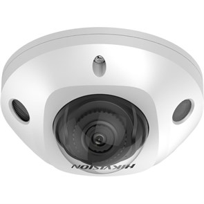 IP-камера Hikvision DS-2CD2543G2-IS(2.8mm) 1667547