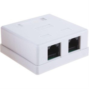 Розетка Cablexpert NA214 RJ-45 кат.5e внешняя 2 порта 1124836