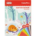 Картон белый Комус Класс ColorPics 10л А4 мелован.папка 1956353 - фото 1005186