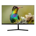 Монитор Sanc N2453 (M2453) 23,8/FHD/IPS/250cd/5ms/75Hz/VGA/HDMI 1946831 - фото 1022857