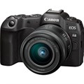 Фотоаппарат Canon EOS R8 Kit RF 24-50mm IS STM 5803C018 1878946 - фото 1040310