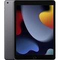 Планшет Apple iPad 10,2 (2021) 64Gb Wi-Fi + Cellular Space Grey(MK663LL/A) 1795561 - фото 1052084