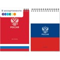 Блокнот А5 Россия 50л УФ лак клетка, спираль 2 дизайна, ассорти, 3344 2074140 - фото 1086933