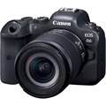 Фотоаппарат Canon EOS R6 Kit RF 24-105mm F4-7.1IS STM 2085251 - фото 1167295