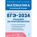 ЕГЭ 2024. Математика. Профильный уровень. Тренажер по тригонометрии. Лысенко Ф.Ф. Легион XKN1847944 - фото 547061