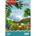 Мир в картинках. Ягоды лесные. Наглядно - дидактическое пособие. 3 - 7 лет. XKN1119079 - фото 547818