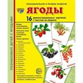 Ягоды. 16 демонстрационных картинок с текстом на обороте. 174 х 220. XKN898114 - фото 548268