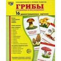 Грибы съедобные и не съедобные. 16 демонстрационных картинок с текстом на обороте. 174 х 220. XKN1102881 - фото 548338