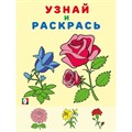 Узнай и раскрась. Цветы. XKN1873649 - фото 554630