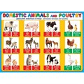 Английский язык. Домашние животные и птицы. Donestic animals and poultry/А2. 0-02-283. XKN1106773 - фото 554761