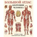 Большой атлас анатомии человека. Мягкая обложка. Е. Махиянова XKN1076911 - фото 561404