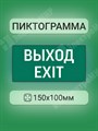 Пиктограмма "ВЫХОД-EXIT" 150х100 к JUNIOR ВЕ1510 Белый свет XRSВЕ1510 - фото 568587