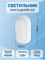 Светильник накл.LED 12Вт 960Лм 4000К IP54 WT045C LED12/NW PSU CFW L1054 OVL 911401814982 Philips Philips XRS911401814982 - фото 568609