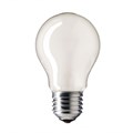 Лампа накаливания Stan 40W E27 230V A55 FR матовая 926000004002 Philips Philips - фото 571151