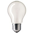 Лампа накаливания Stan 60W E27 230V A55 FR матовая 926000007317 Philips Philips - фото 571153