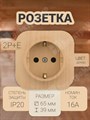 Розетка 2P+E 16А дерево Quteo 782271 Legrand Legrand XRS782271 - фото 572606