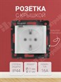 Розетка 2P+E 16A винтов. зажим с крышкой IP44 белый Valena 774220 Legrand Legrand XRS774220 - фото 573162