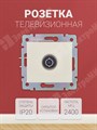 Розетка телевизионная одиночная ТV 2400MHz слоновая кость Valena(774329) 695618 Legrand Legrand XRS695618 - фото 573238