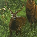 Ткань для пэчворка PEPPY NATURE STUDIES 2 PANEL ФАСОВКА 60 x 110 см 146 г/кв.м ± 5 100% хлопок SRK-13624-270 MEADOW - фото 605912