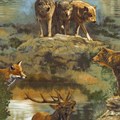 Ткань для пэчворка PEPPY NATURE STUDIES 3 PANEL ФАСОВКА 60 x 110 см 146 г/кв.м ± 5 100% хлопок ADV-16302-268 NATURE - фото 605913