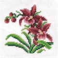 "Klart" набор для вышивания 8-124 "Дикие орхидеи" 13 х 13 см - фото 661825