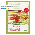 Папка для рисования акварелью А3,8л,блок ГОЗНАК 200гр 4-007 дизайн в ассорт 888156 - фото 715776