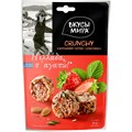 Коктейль Вкусы мира Crunchy Клубника-орехи-семечки, 50г 1760201 - фото 740910