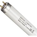 Лампа люминесцентная Osram  L 18W/765 G13 6400К хол.дневн. 25шт/уп 293396 - фото 768832