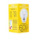 Электрическая лампа СТАРТ стандартная/прозрачная 60W E27 - фото 768874