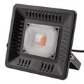 Фитосветильник прожектор ЭРА красно-синего спектра FITO-50W-LED (Б0039033) 1464198 - фото 772098