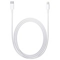 Кабель Apple Lightning - USB-C Cable (1 m) (MQGJ2ZM/A+MX0K2ZM/A+MM0A3ZM/A) 806005 - фото 845582