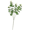 Цветок искусственный Ветка эвкалипта, В500 мм, зеленый, aj-200 - фото 854179