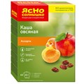 Каша Овсяная Ясно Солнышко ассорти №3 (абрикос, яблоко, изюм), 270г 1203732 - фото 937412